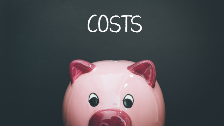 Ile kosztuje CRM? Poznaj koszty wdrożenia